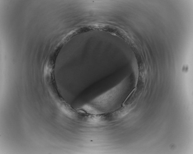 X0000093370235200711011235