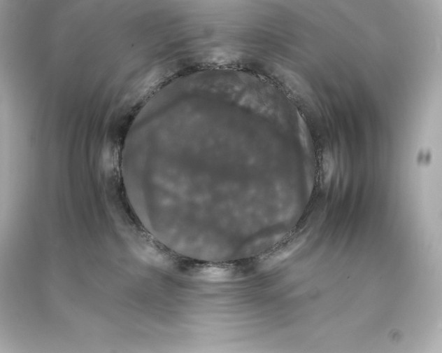 X0000093370236200711011235