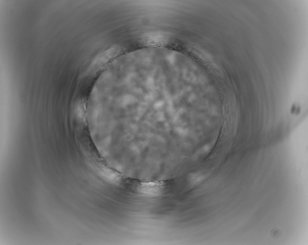 X0000093370240200711011235