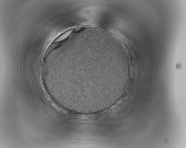 X0000093370241200711011234