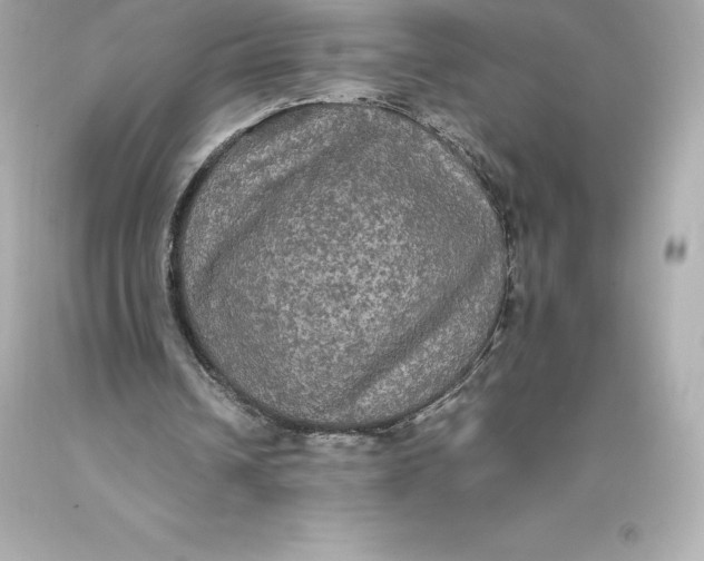 X0000093370242200711011234