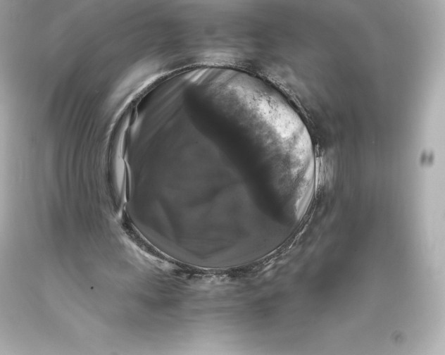 X0000093370243200711011234