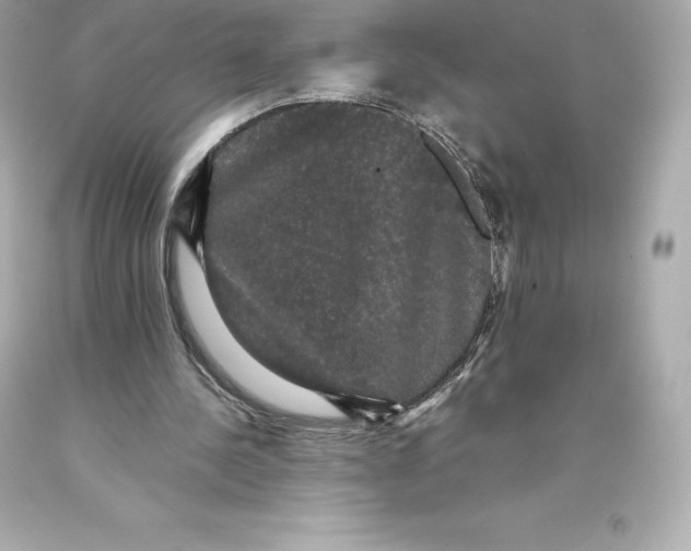 X0000093370244200711011234