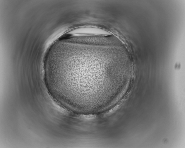 X0000093370245200711011234