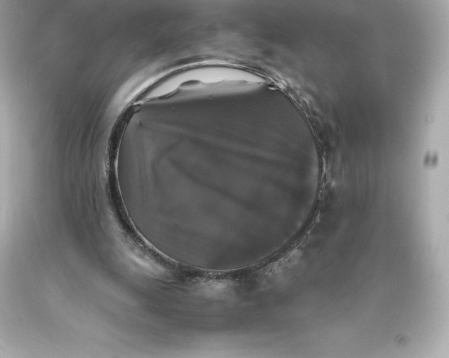 X0000093370247200711011234