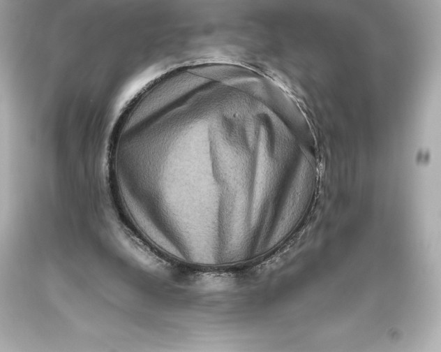 X0000093370248200711011234