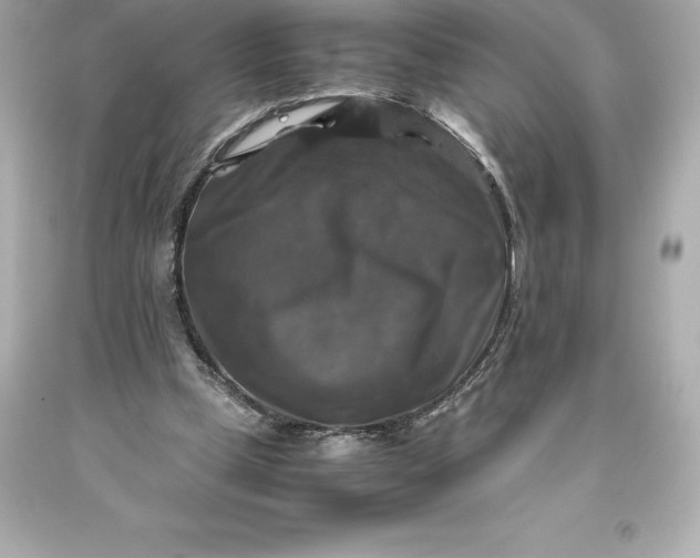 X0000093370249200711011234