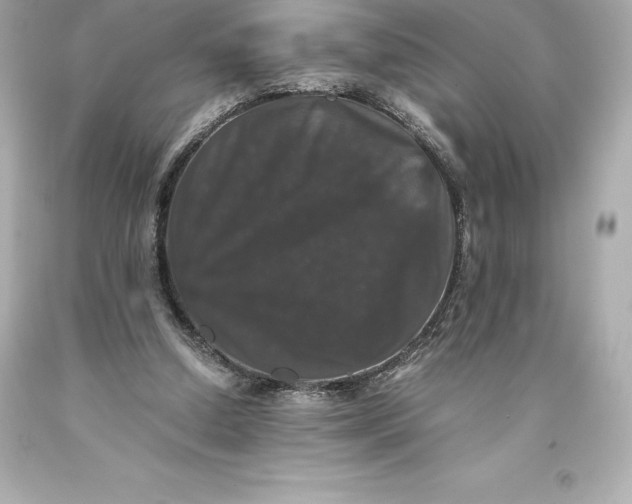 X0000093370250200711011234