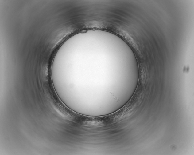 X0000093370251200711011234