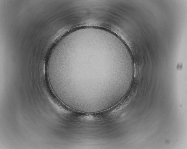 X0000093370253200711011234