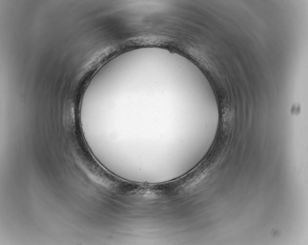 X0000093370254200711011234