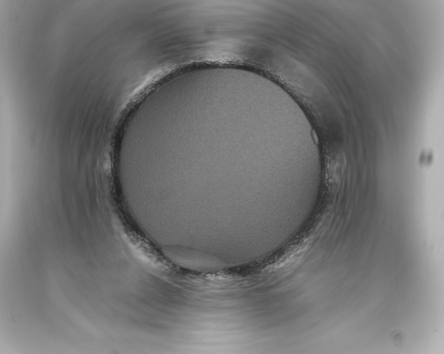 X0000093370256200711011234