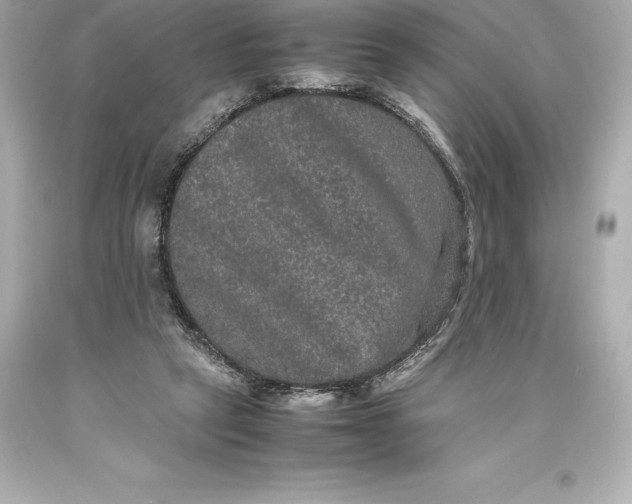 X0000093370257200711011234