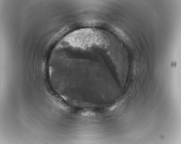 X0000093370258200711011234