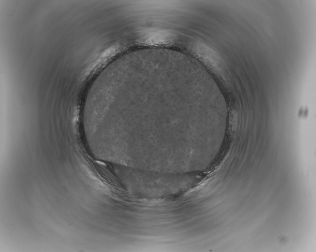 X0000093370260200711011234