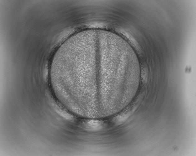 X0000093370261200711011234