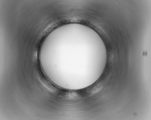 X0000093370262200711011235