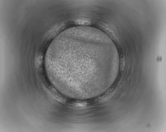 X0000093370263200711011235