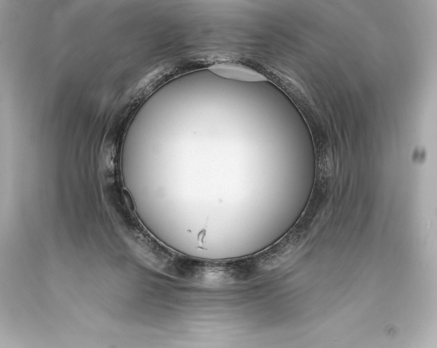 X0000093370264200711011235