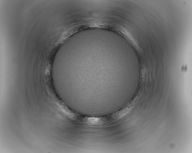 X0000093370265200711011235