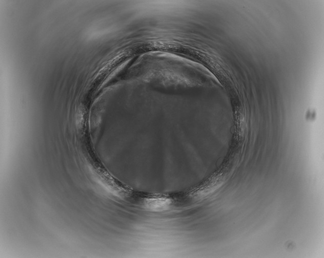 X0000093370266200711011235