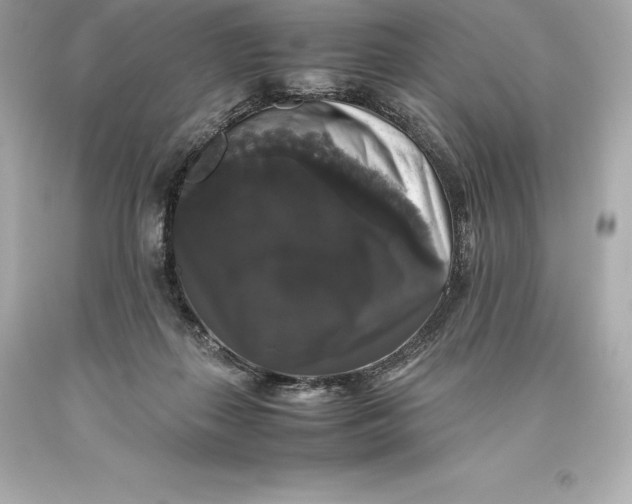 X0000093370267200711011235