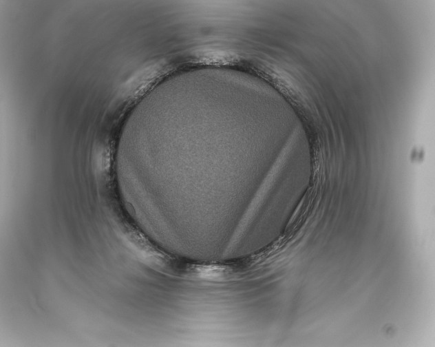 X0000093370268200711011235