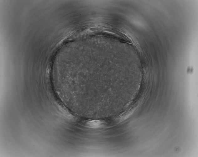 X0000093370269200711011235