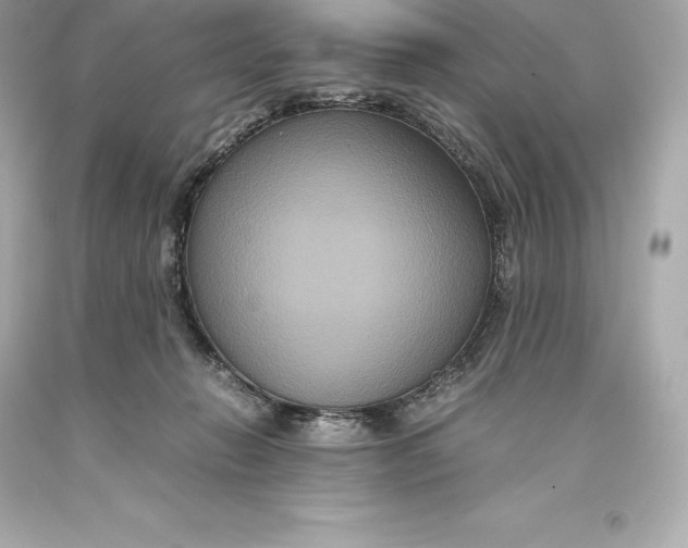 X0000093370270200711011235