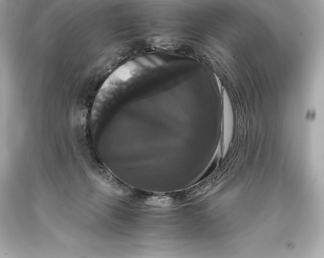 X0000093370271200711011235