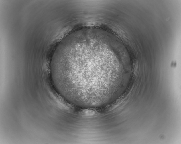 X0000093370272200711011235