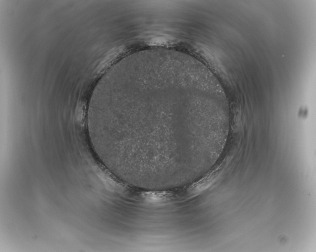 X0000093370273200711011235