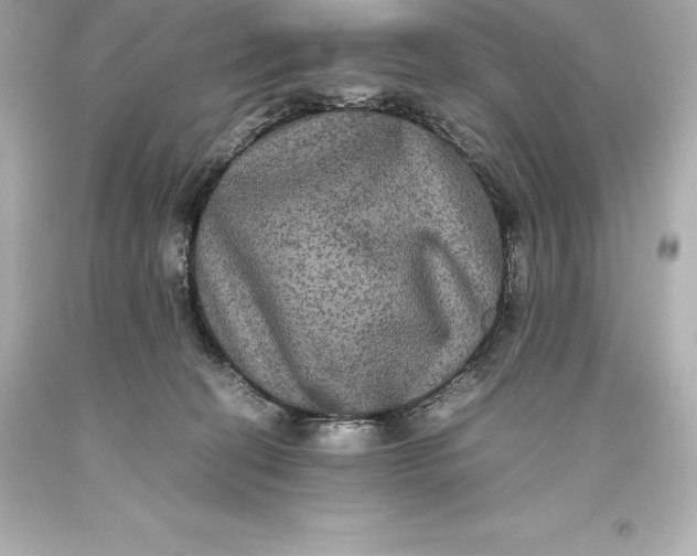 X0000093370274200711011235