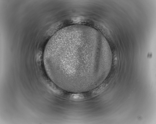 X0000093370275200711011235