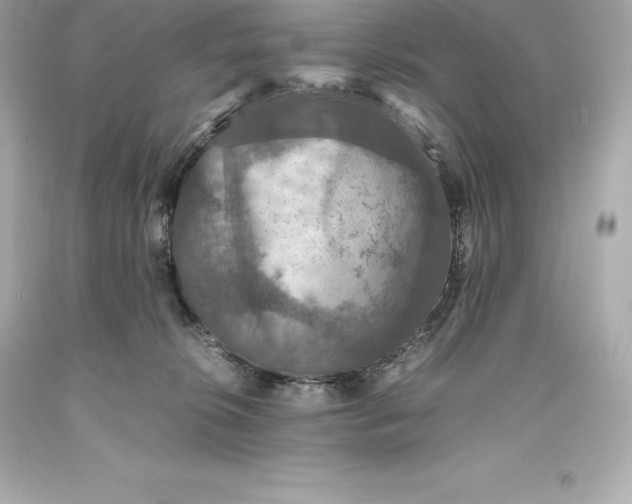 X0000093370276200711011235