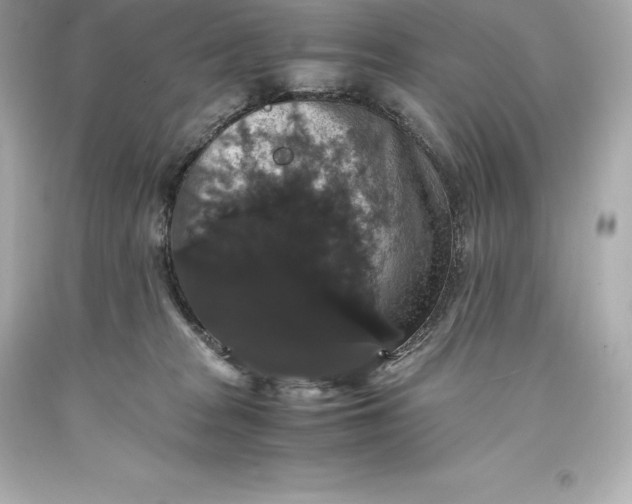 X0000093370277200711011235