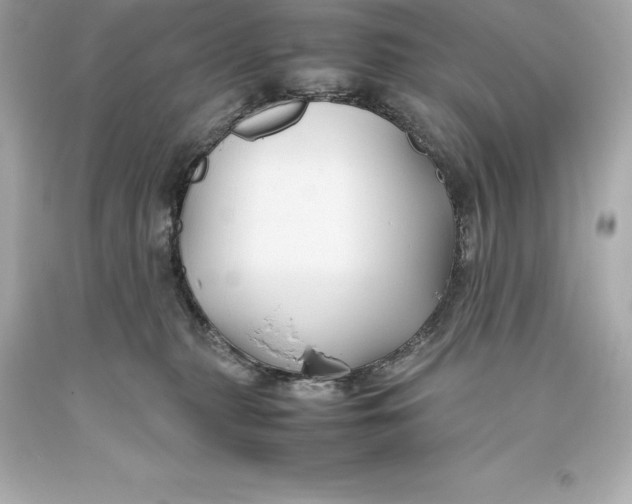 X0000093370279200711011235