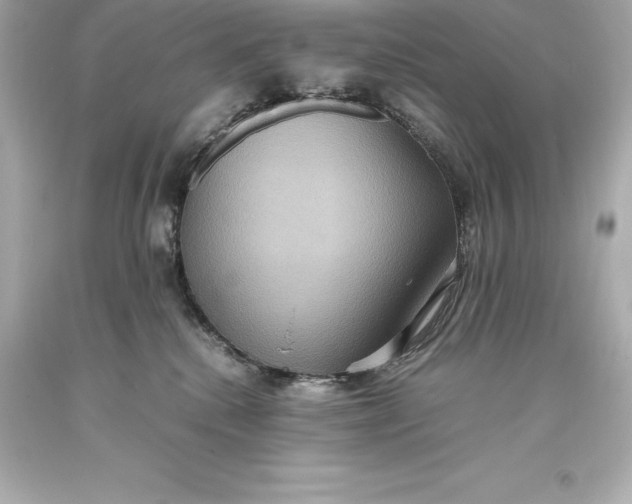 X0000093370280200711011235