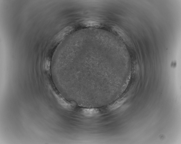 X0000093370281200711011235