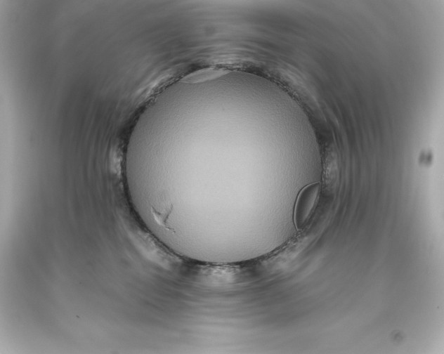 X0000093370282200711011235