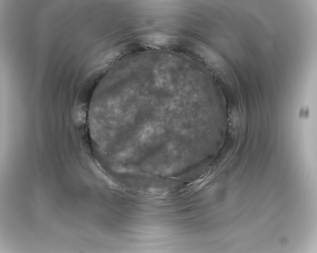 X0000093370284200711011235