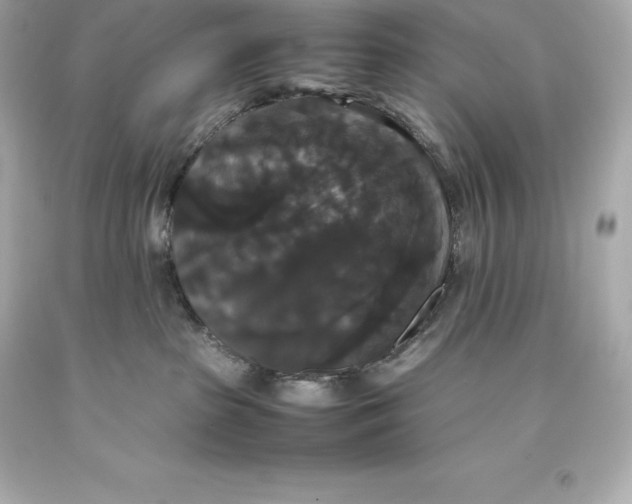 X0000093370285200711011235