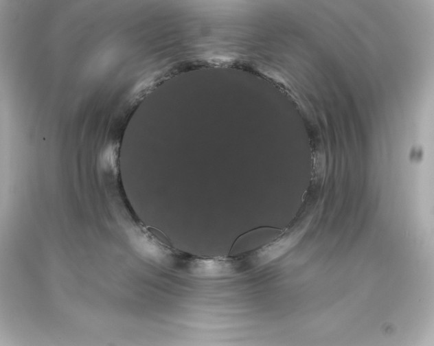 X0000093370286200711011235