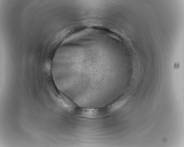 X0000093370288200711011235