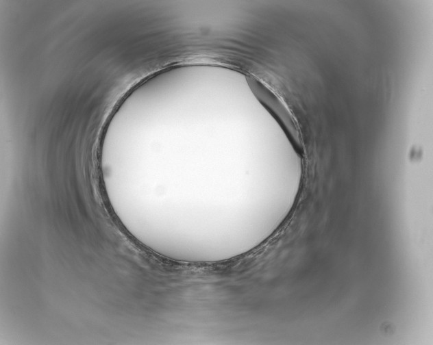 X0000093370289200711011234