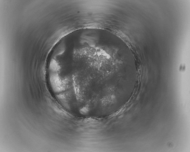 X0000093370290200711011234