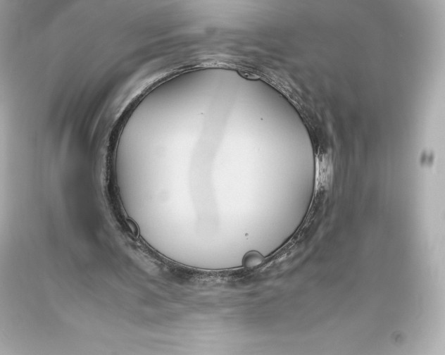 X0000093370291200711011234