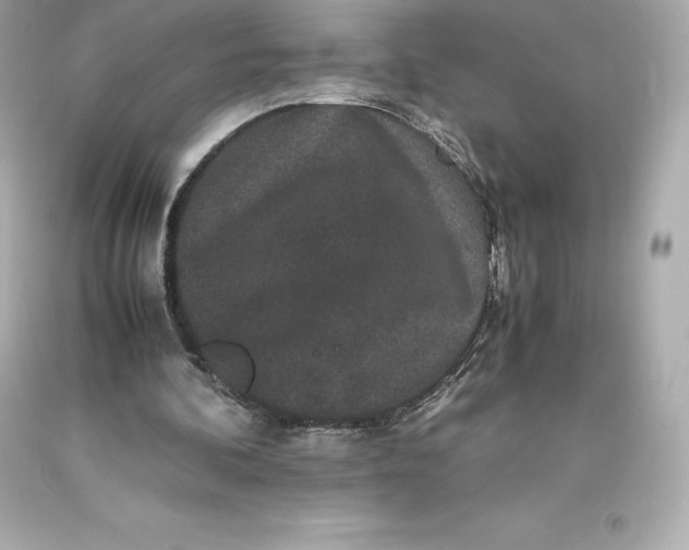 X0000093370292200711011234