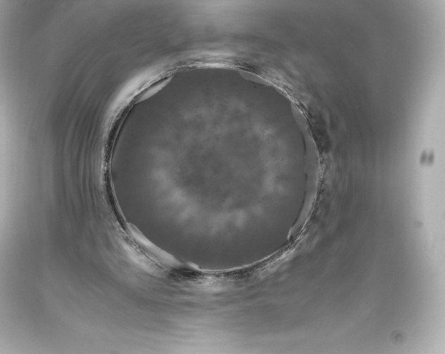 X0000093370293200711011234