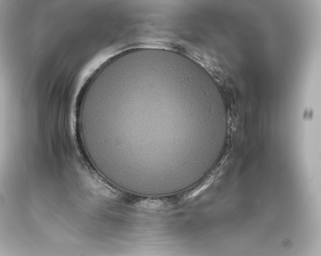 X0000093370294200711011234